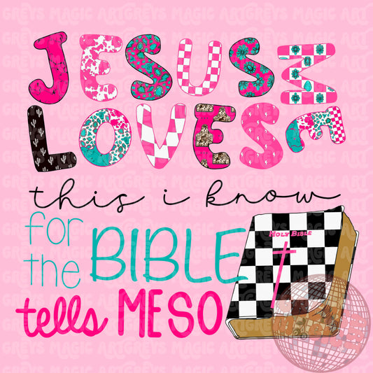 Pink And Teal Western Jesus Loves Me PNG