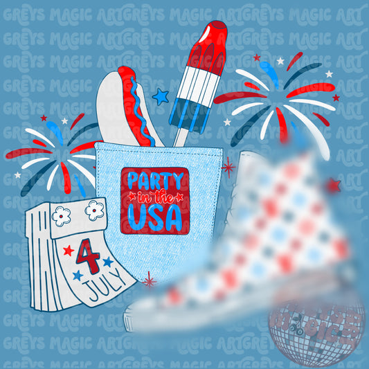 Party In The USA PNG