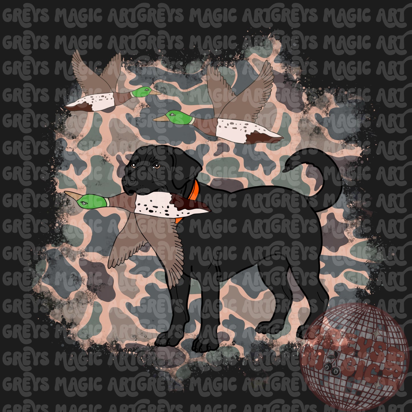 Black Lab Duck Hunting PNG
